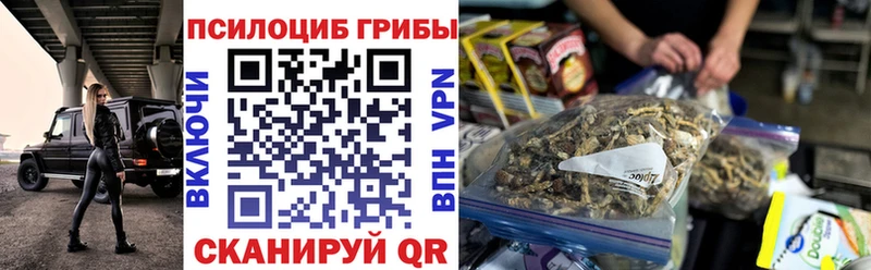 Галлюциногенные грибы GOLDEN TEACHER  Купить где  Новомичуринск 
