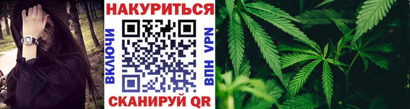 Купить  Новомичуринск  Шишки марихуана Ganja 